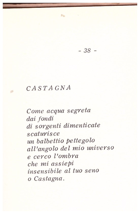 Castagna cz